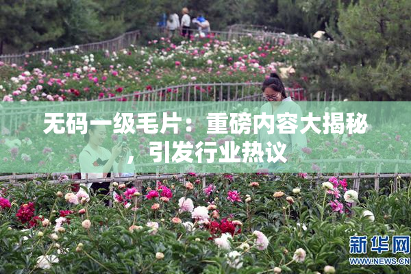 无码一级毛片：重磅内容大揭秘，引发行业热议