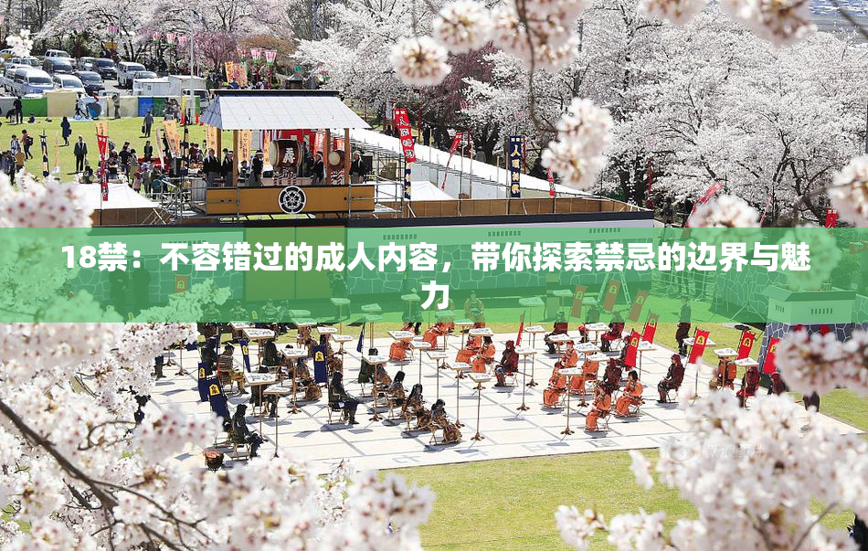 18禁：不容错过的成人内容，带你探索禁忌的边界与魅力