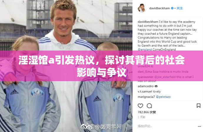 淫湿馆a引发热议，探讨其背后的社会影响与争议