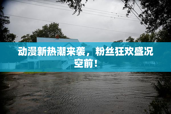 动漫新热潮来袭，粉丝狂欢盛况空前！