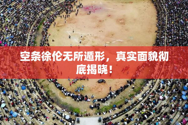 空条徐伦无所遁形，真实面貌彻底揭晓！
