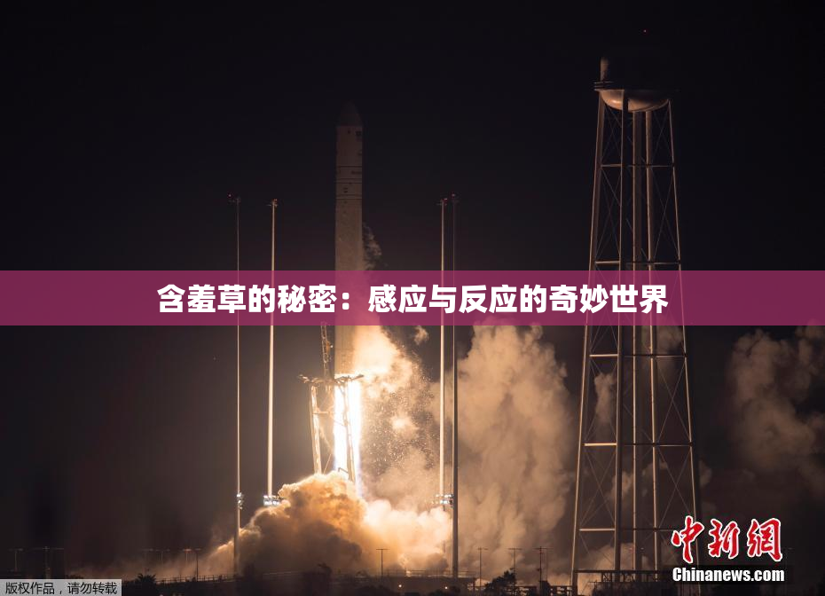 含羞草的秘密：感应与反应的奇妙世界