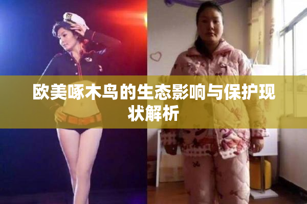 欧美啄木鸟的生态影响与保护现状解析