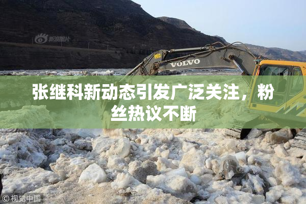张继科新动态引发广泛关注，粉丝热议不断