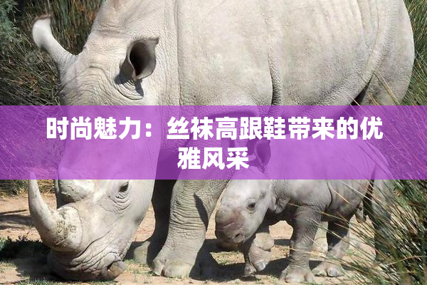 时尚魅力：丝袜高跟鞋带来的优雅风采