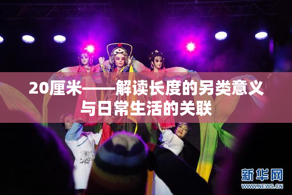 20厘米——解读长度的另类意义与日常生活的关联