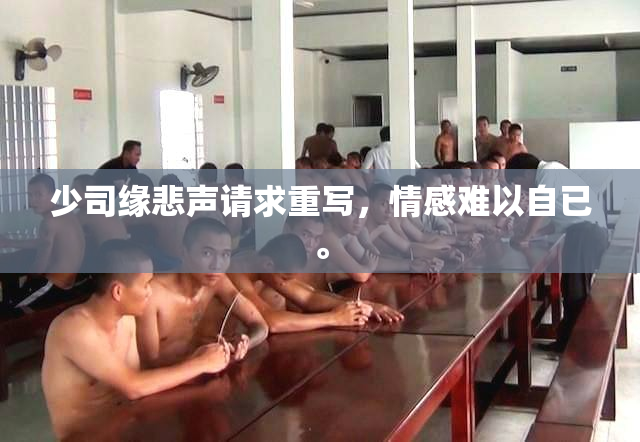 少司缘悲声请求重写，情感难以自已。