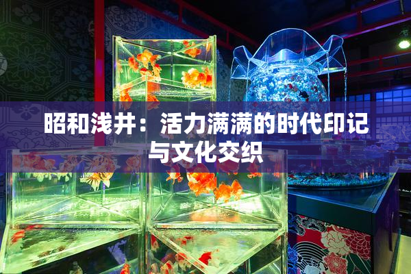 昭和浅井：活力满满的时代印记与文化交织