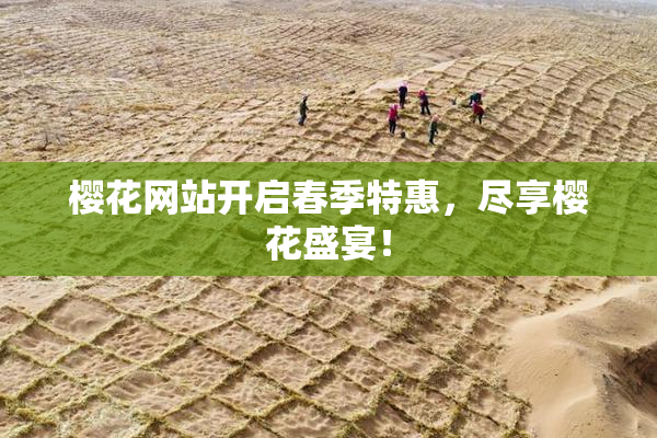 樱花网站开启春季特惠，尽享樱花盛宴！