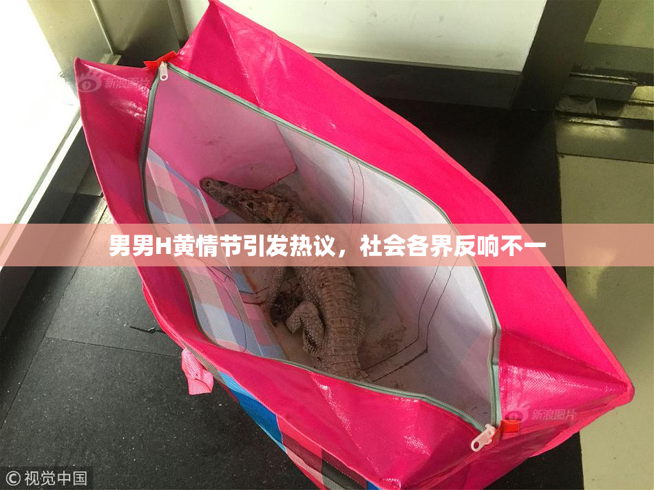 男男H黄情节引发热议，社会各界反响不一