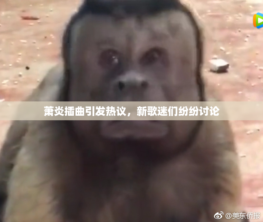 萧炎插曲引发热议，新歌迷们纷纷讨论
