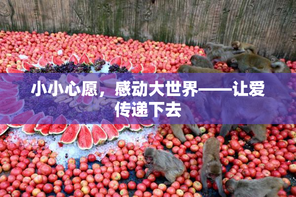 小小心愿，感动大世界——让爱传递下去