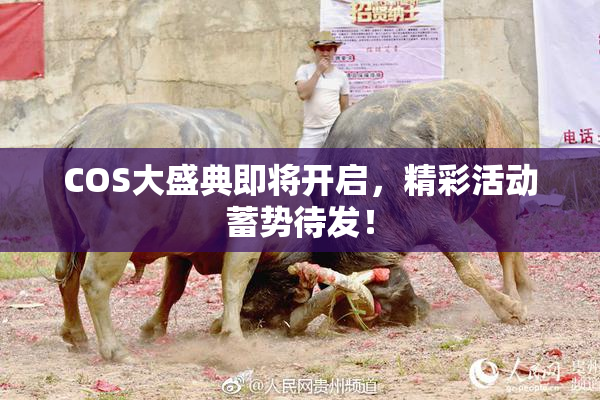 COS大盛典即将开启，精彩活动蓄势待发！