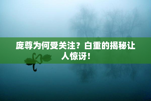庞尊为何受关注？白重的揭秘让人惊讶！