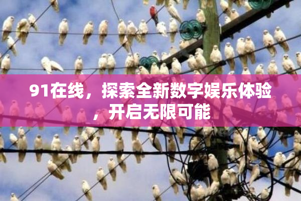 91在线，探索全新数字娱乐体验，开启无限可能