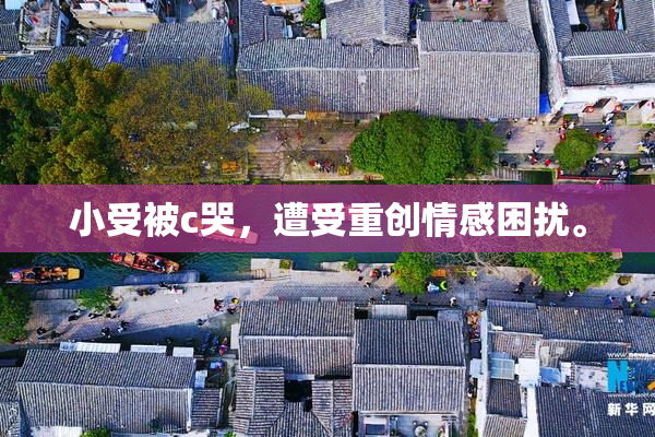 小受被c哭，遭受重创情感困扰。