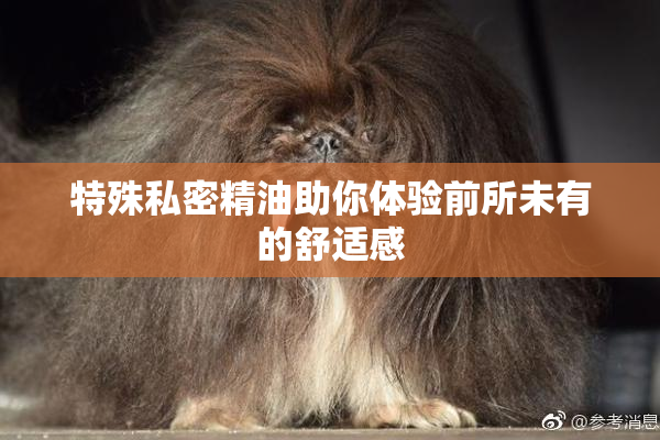 特殊私密精油助你体验前所未有的舒适感