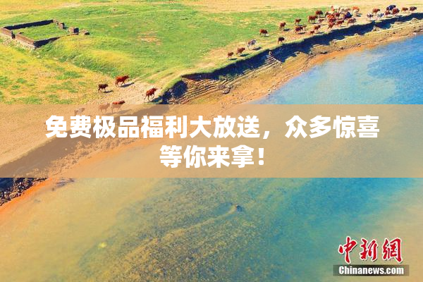 免费极品福利大放送，众多惊喜等你来拿！