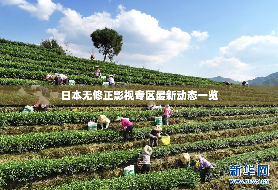 日本无修正影视专区最新动态一览