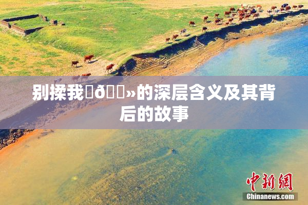 别揉我‌🐻的深层含义及其背后的故事
