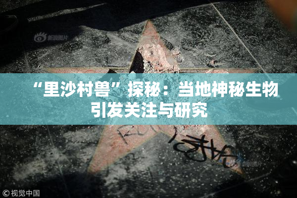 “里沙村兽”探秘：当地神秘生物引发关注与研究