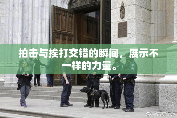 拍击与挨打交错的瞬间，展示不一样的力量。