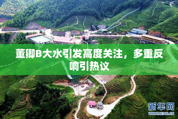 董卿B大水引发高度关注，多重反响引热议