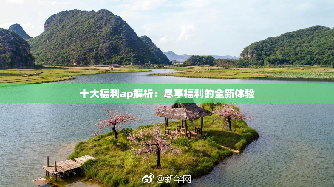 十大福利ap解析：尽享福利的全新体验