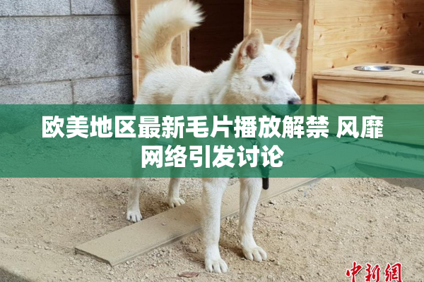 欧美地区最新毛片播放解禁 风靡网络引发讨论