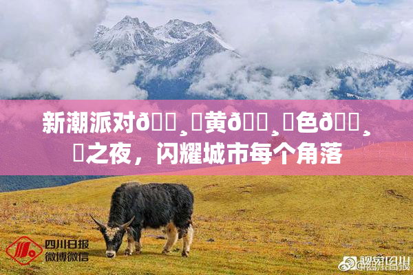 新潮派对🌸‌黄🌸‌色🌸‌之夜，闪耀城市每个角落