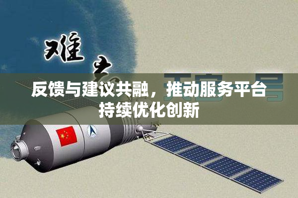 反馈与建议共融，推动服务平台持续优化创新