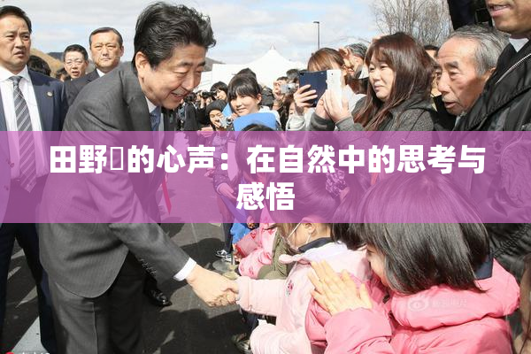 田野憂的心声：在自然中的思考与感悟