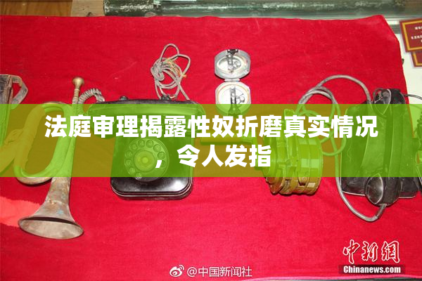 法庭审理揭露性奴折磨真实情况，令人发指