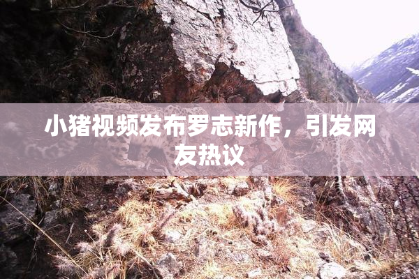 小猪视频发布罗志新作，引发网友热议