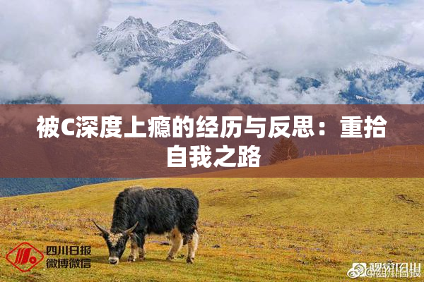 被C深度上瘾的经历与反思：重拾自我之路