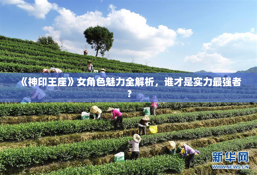 《神印王座》女角色魅力全解析，谁才是实力最强者？