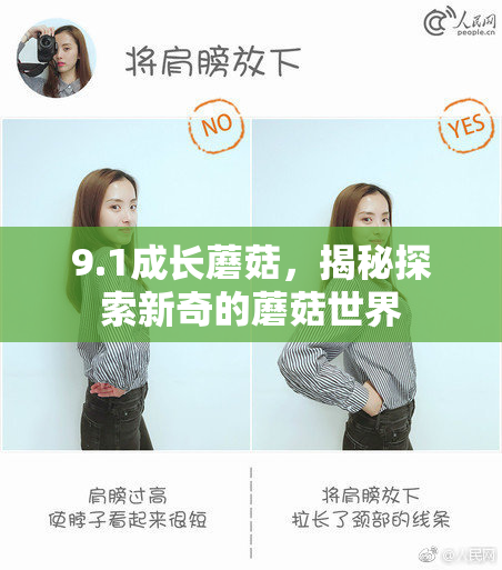 9.1成长蘑菇，揭秘探索新奇的蘑菇世界