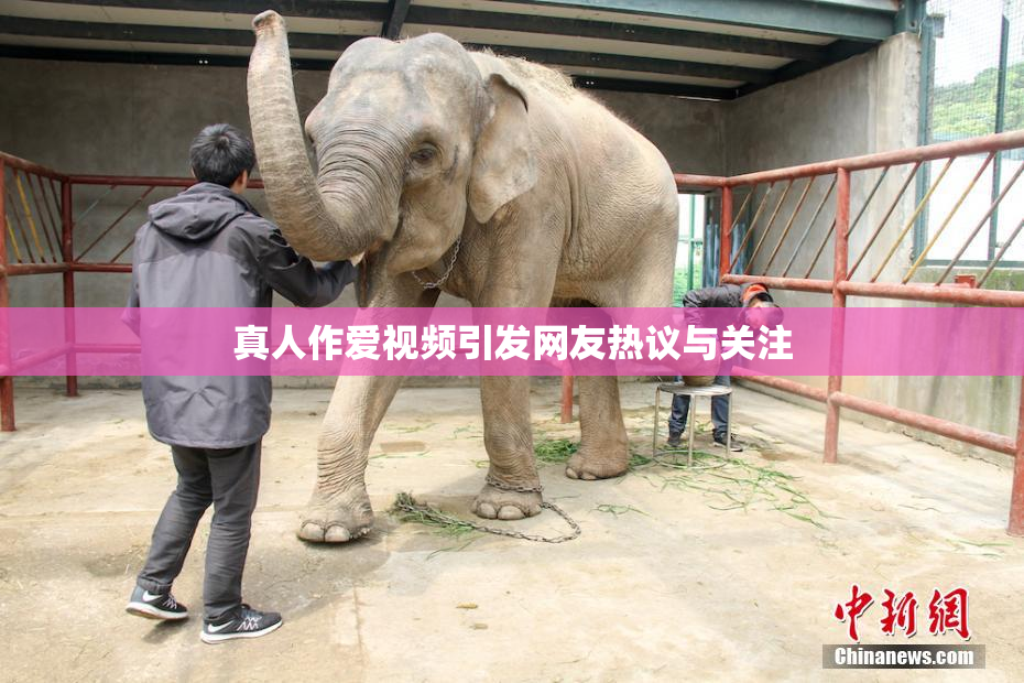 真人作爱视频引发网友热议与关注