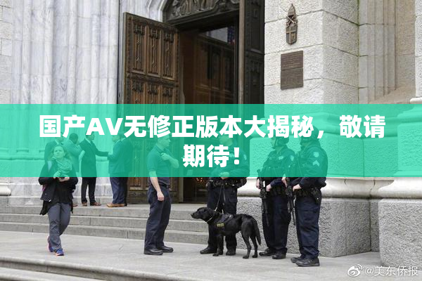 国产AV无修正版本大揭秘，敬请期待！