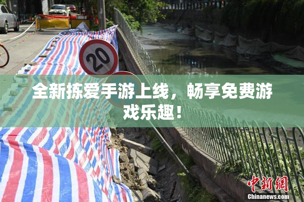全新拣爱手游上线，畅享免费游戏乐趣！