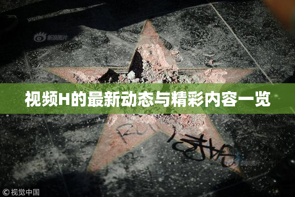 视频H的最新动态与精彩内容一览