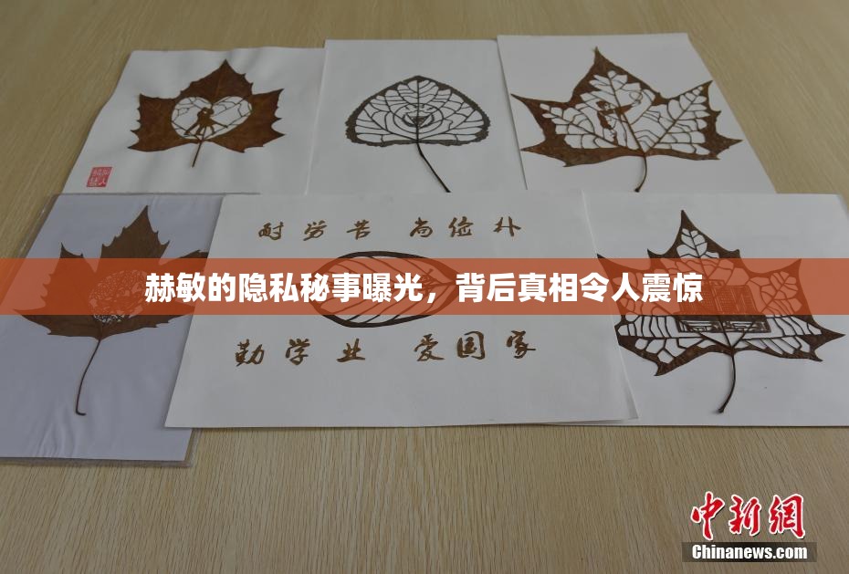 赫敏的隐私秘事曝光，背后真相令人震惊