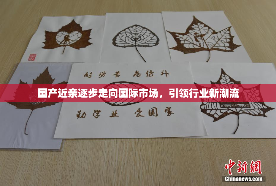 国产近亲逐步走向国际市场，引领行业新潮流