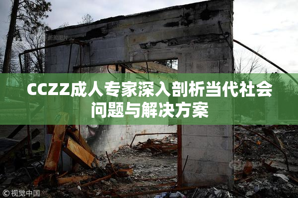 CCZZ成人专家深入剖析当代社会问题与解决方案