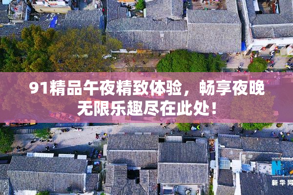 91精品午夜精致体验，畅享夜晚无限乐趣尽在此处！