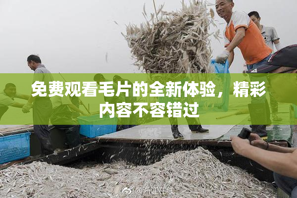 免费观看毛片的全新体验，精彩内容不容错过