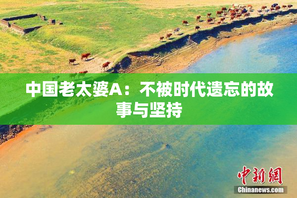 中国老太婆A：不被时代遗忘的故事与坚持