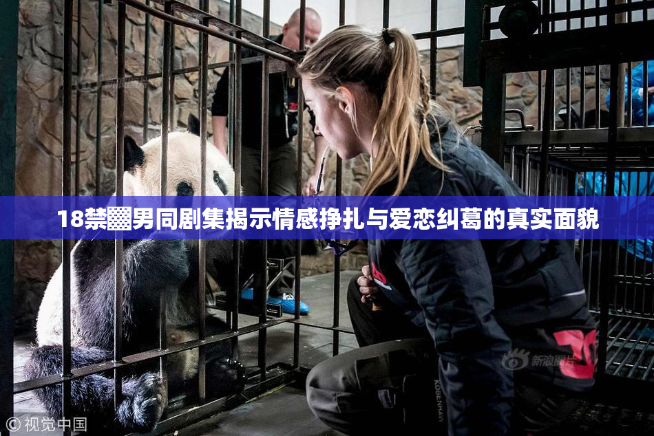 18禁▓男同剧集揭示情感挣扎与爱恋纠葛的真实面貌