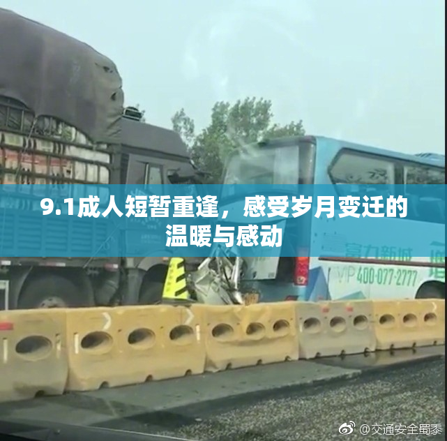 9.1成人短暂重逢，感受岁月变迁的温暖与感动