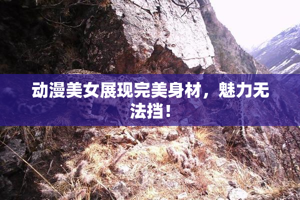 动漫美女展现完美身材，魅力无法挡！